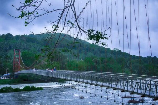 Kerala Tours / 4 Nights