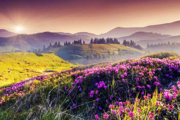 Uttarakhand Tours / 5 Nights - Image 3